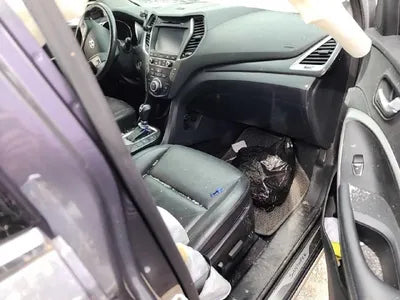 2016 Hyundai Santa FE KMHSW81UBGU674459 VIN:KMHSW81UBGU674459