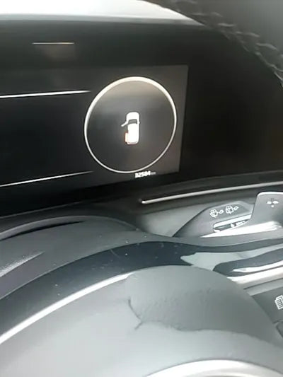 2021 Kia Carnival KNANE81BBMS067503 VIN:KNANE81BBMS067503