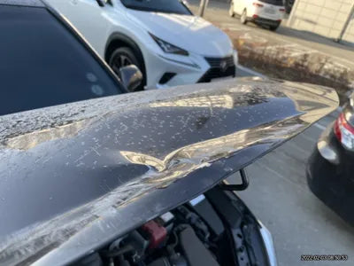 2018 Toyota Camry JTNB11HK0J3058557 VIN:JTNB11HK0J3058557