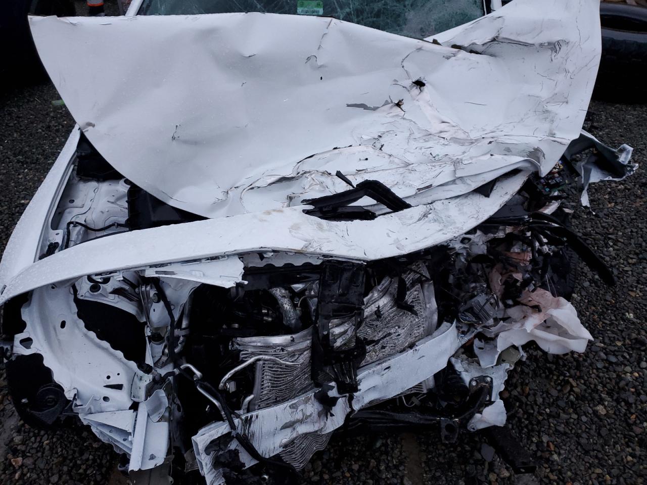 2023 CHEVROLET MALIBU LS VIN:1G1ZC5ST7PF156166