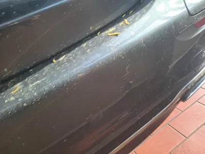 2021 Mercedes-Benz E 300 W1KZF5EB6MA883427 VIN:W1KZF5EB6MA883427