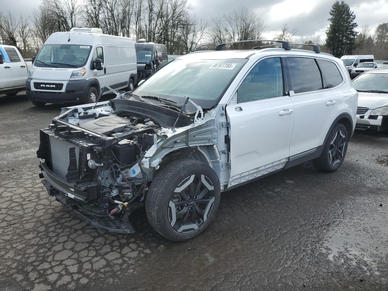 2024 KIA TELLURIDE EX VIN:5XYP3DGC2RG451676