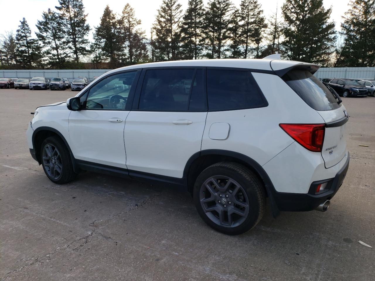 2022 HONDA PASSPORT EXL VIN:5FNYF8H55NB031768