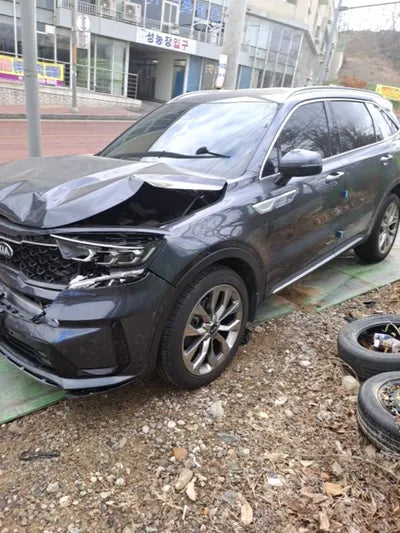 2021 Kia Sorento KNARL81BGMA103199 VIN:KNARL81BGMA103199