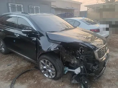 2019 Kia Sorento KNAPH81BBKA501737 VIN:KNAPH81BBKA501737