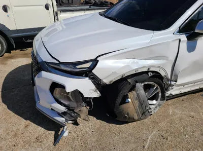 2019 Hyundai Santa FE KMHS581ADKU121220 VIN:KMHS581ADKU121220