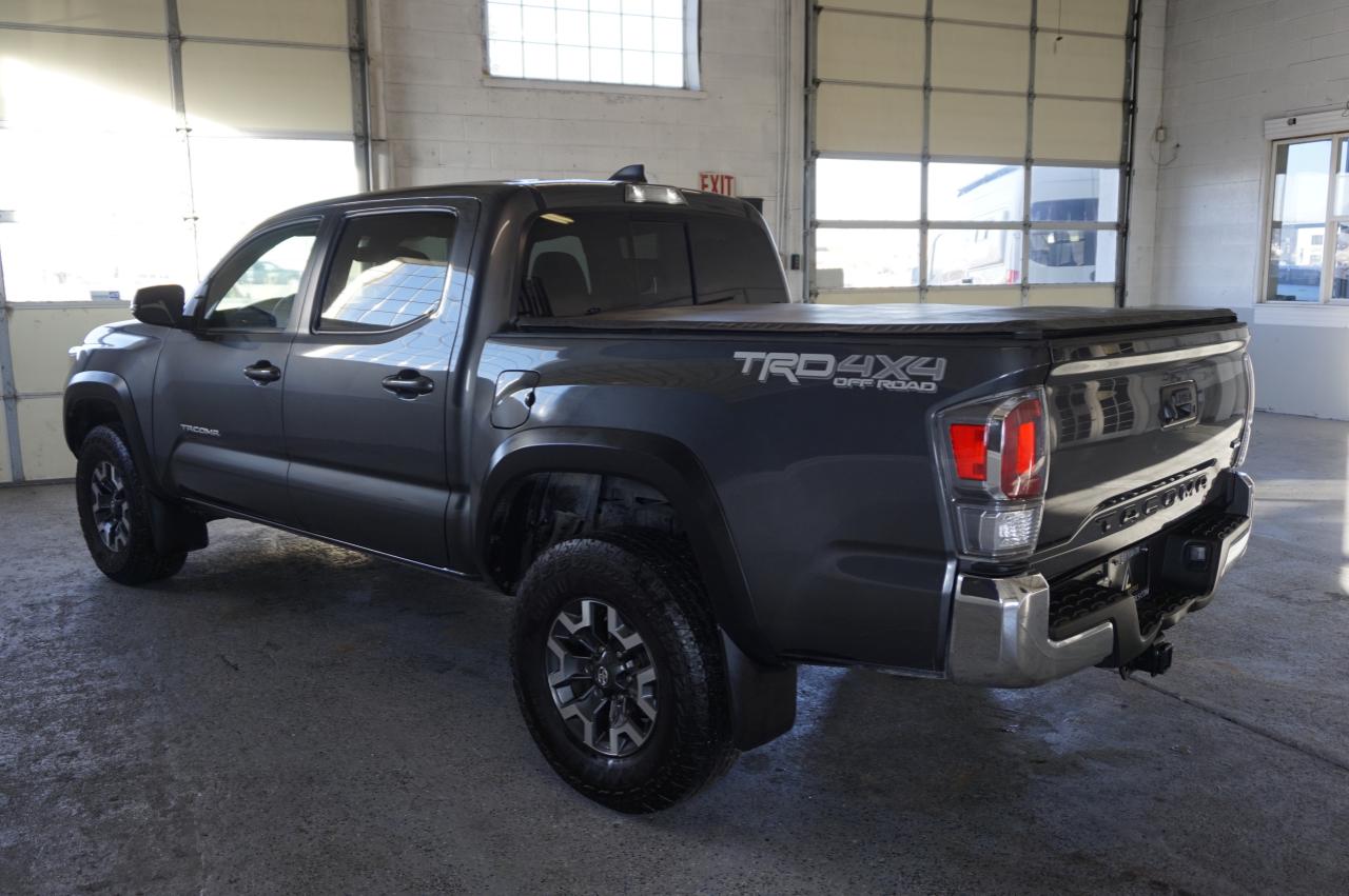 2023 TOYOTA TACOMA DOUBLE CAB VIN:3TMCZ5AN6PM550028