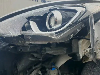 2017 Hyundai Santa FE KMHSW81UBHU757040 VIN:KMHSW81UBHU757040