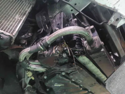 2015 Audi RS5 WUAZZZ8T6FA900987 VIN:WUAZZZ8T6FA900987