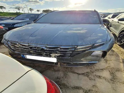 2021 Hyundai Tucson KMHJE81BGMU010750 VIN:KMHJE81BGMU010750