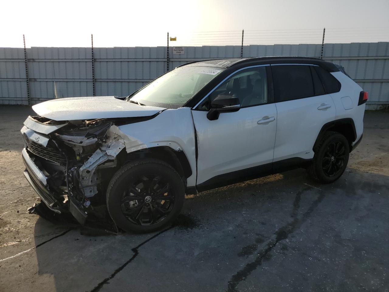 2024 TOYOTA RAV4 XSE VIN:JTME6RFV4RJ057711