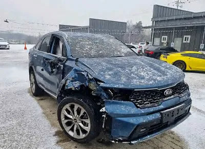 2021 Kia Sorento KNARH81FGMA075279 VIN:KNARH81FGMA075279