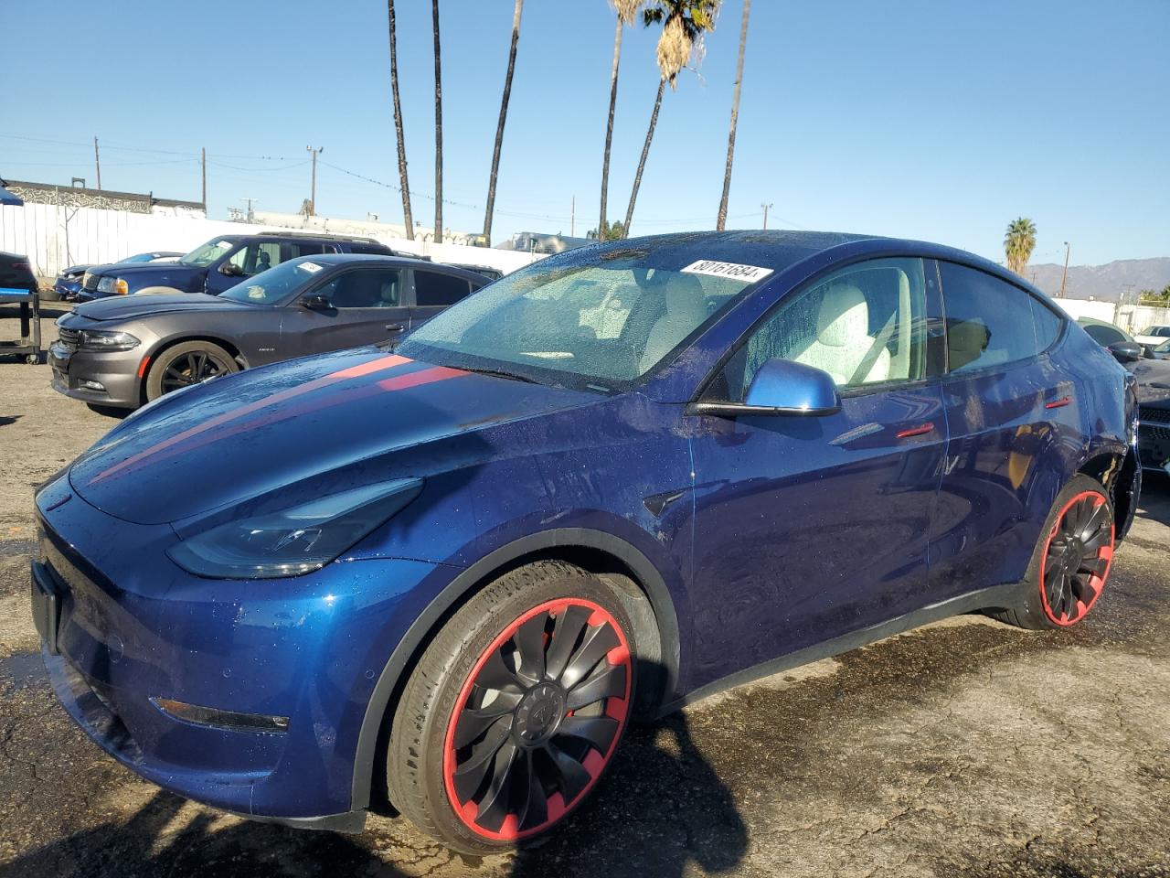 2022 TESLA MODEL Y  VIN:7SAYGDEF5NF551510