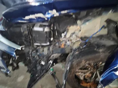 2019 Hyundai Santa FE KMHS381BBKU059206 VIN:KMHS381BBKU059206