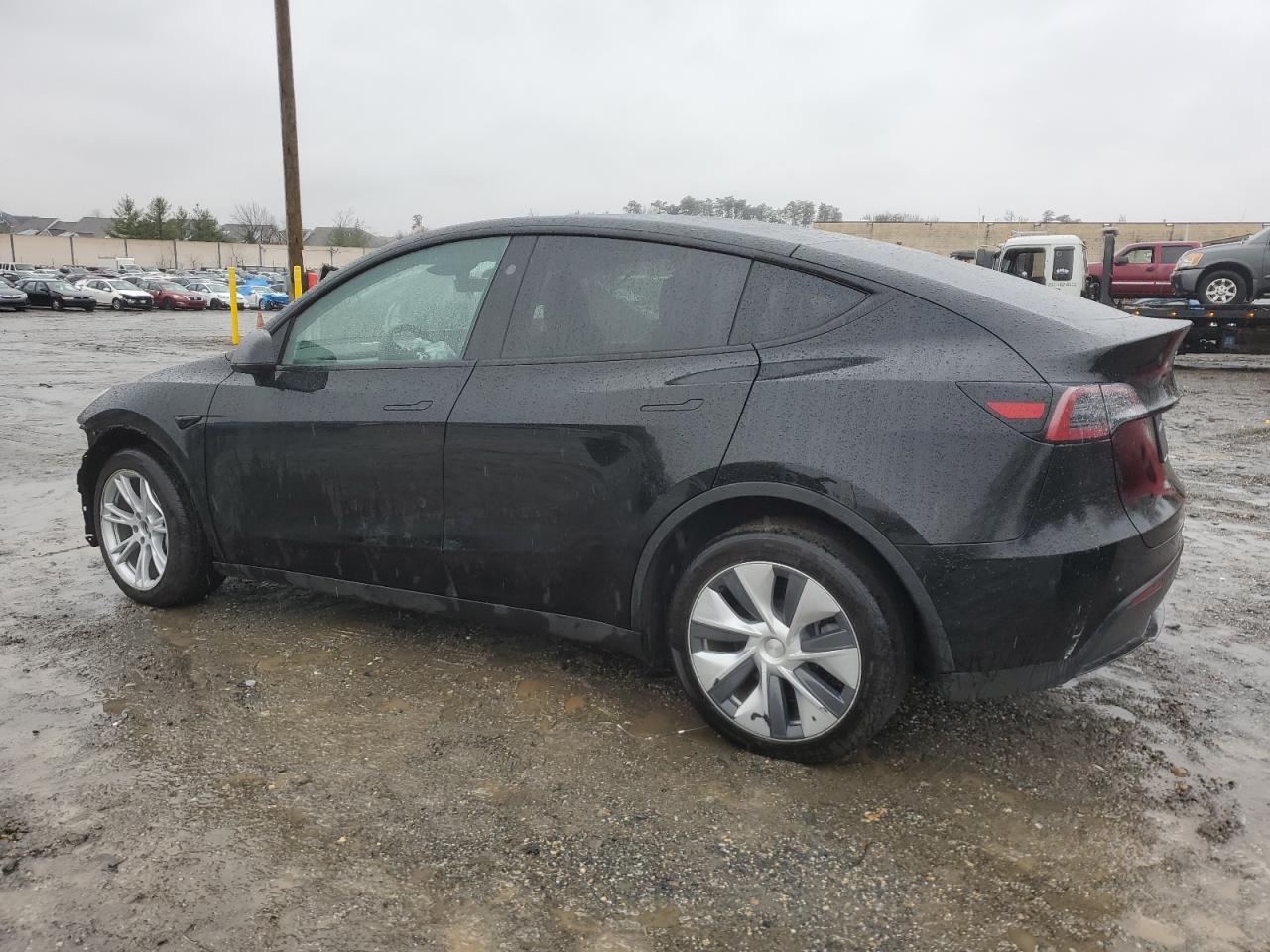 2023 TESLA MODEL Y VIN:7SAYGDEE1PA151757