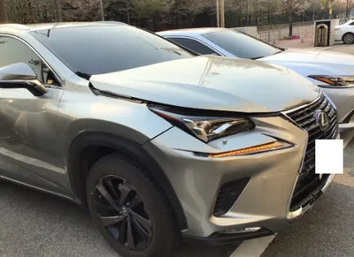 2018 Lexus NX 300 JTJBJRBZ6J2077481 VIN:JTJBJRBZ6J2077481