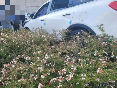 2017 Kia Sorento KNAPS81ABHA322489 VIN:KNAPS81ABHA322489