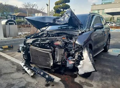 2022 Kia Sorento KNARJ81GBNA065251 VIN:KNARJ81GBNA065251