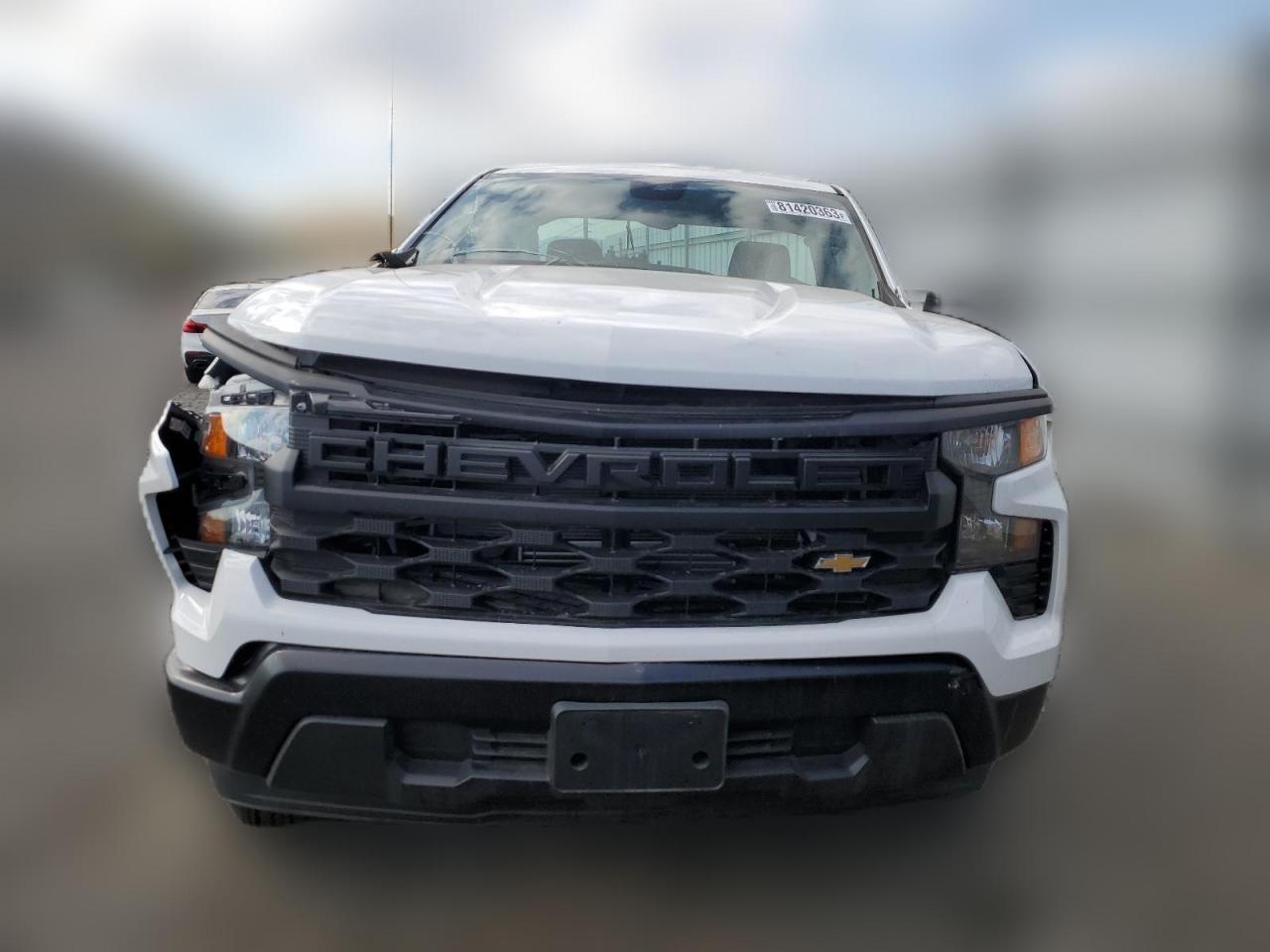 2023 CHEVROLET SILVERADO C1500 VIN:3GCNAAEKXPG104309