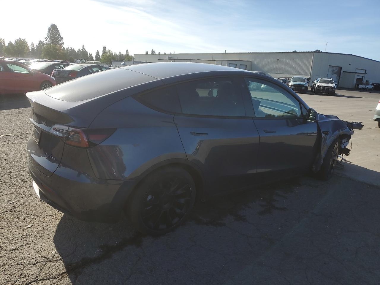2023 TESLA MODEL Y VIN:7SAYGDEE6PA119497