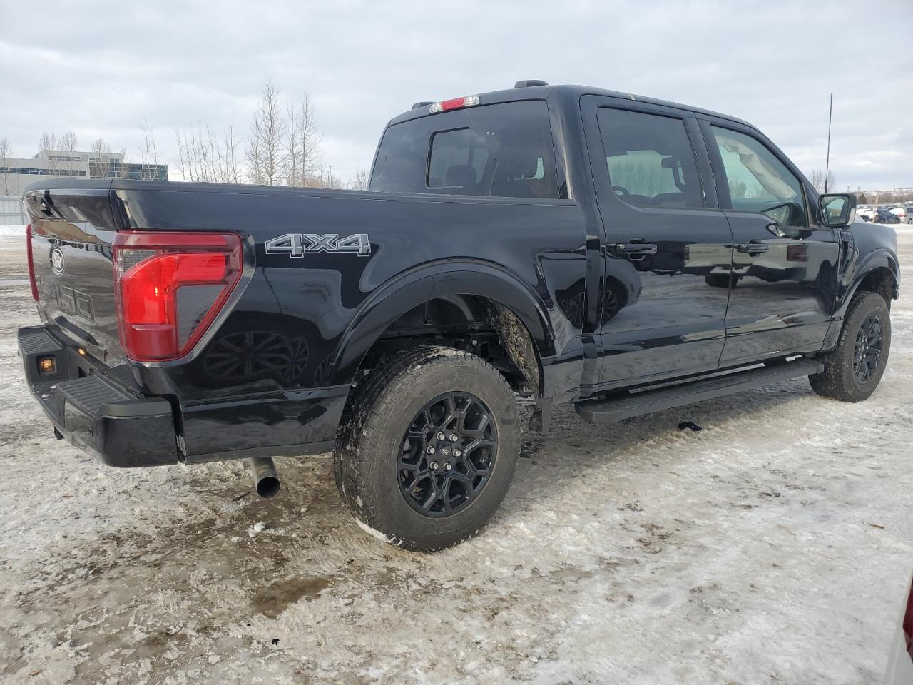 2024 FORD F150 XLT VIN:1FTEW3LP8RKD69396