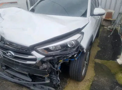 2017 Hyundai Tucson KMHJ381ABHU402409 VIN:KMHJ381ABHU402409