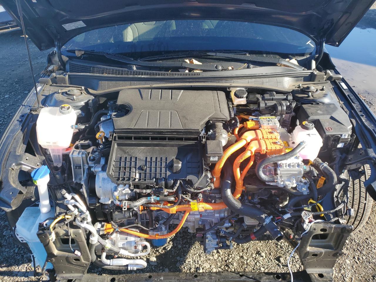 2024 HYUNDAI ELANTRA LIMITED VIN:KMHLN4DJ7RU095327