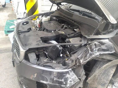 2017 Kia Sorento KNAPS811BJA419681 VIN:KNAPS811BJA419681