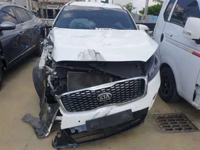2019 Kia Sorento KNAPS81ABKA545542 VIN:KNAPS81ABKA545542