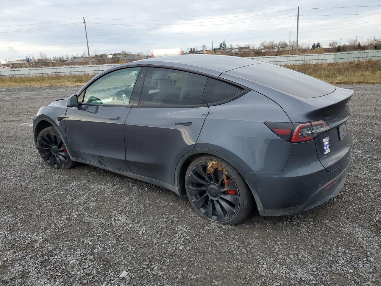 2022 TESLA MODEL Y  VIN:7SAYGDEF0NF314004