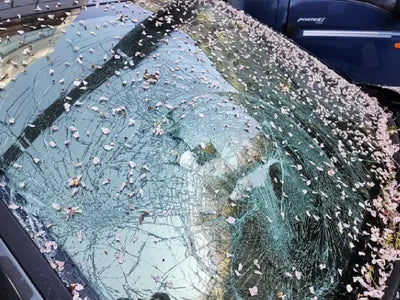 2022 Hyundai Tucson KMHJE811BNU046368 VIN:KMHJE811BNU046368