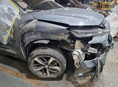 2020 Hyundai Kona KMHK4815GLU447679 VIN:KMHK4815GLU447679