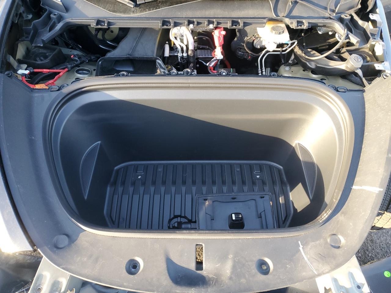 2024 TESLA MODEL Y  VIN:7SAYGDEE1RF002710