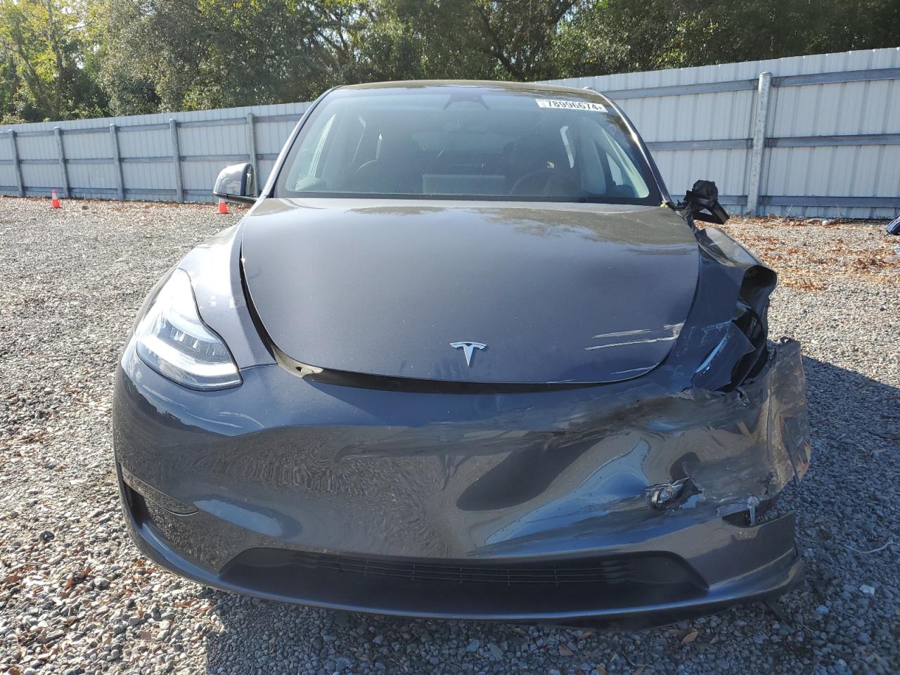 2023 TESLA MODEL Y  VIN:7SAYGDEE0PA056932
