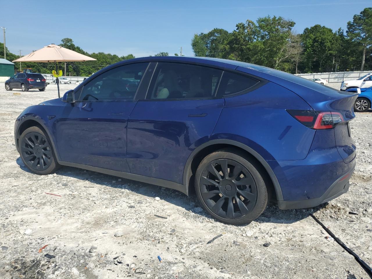 2023 TESLA MODEL Y  VIN:7SAYGDEE7PF633779