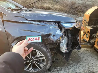 2019 Hyundai Santa FE KMHS281BBKU176211 VIN:KMHS281BBKU176211