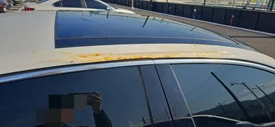 2018 Volkswagen Passat VIN:
