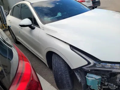 2021 Kia K5 KNAG241BBMA139244 VIN:KNAG241BBMA139244