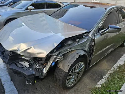 2019 Lexus ES 300 VIN: