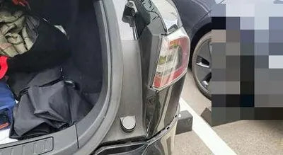 2019 Tesla Model S VIN: