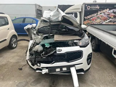 2016 Kia Sportage KNAP6815GGK171217 VIN:KNAP6815GGK171217