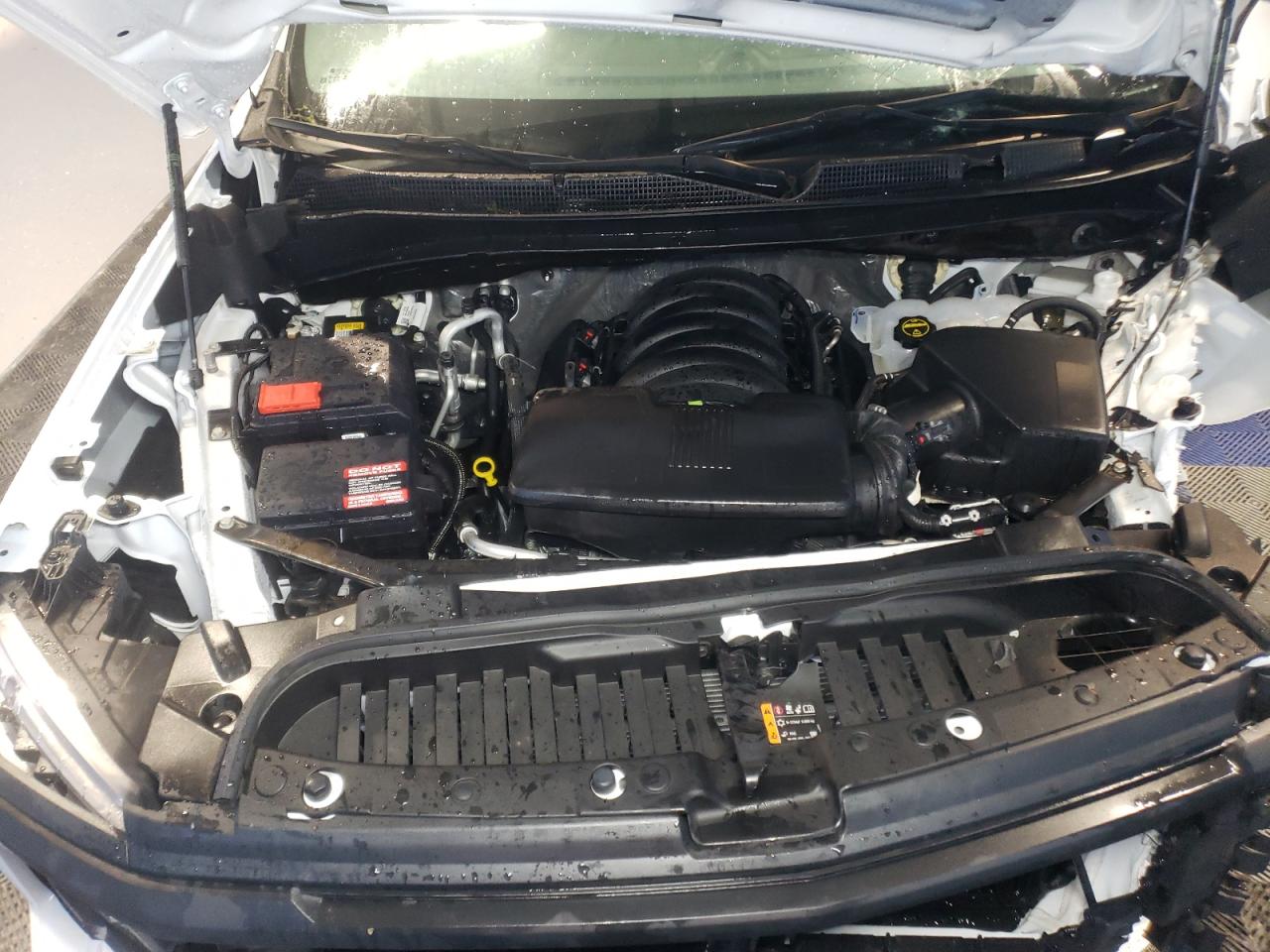 2024 CHEVROLET SILVERADO C1500 VIN:3GCNAAED9RG358484