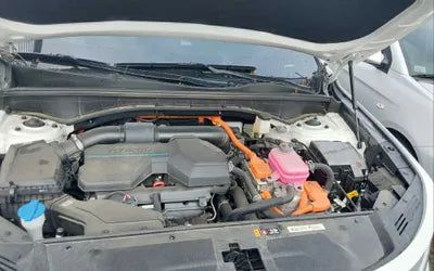 2023 Kia Sorento KNARL81GBPA135233 VIN:KNARL81GBPA135233
