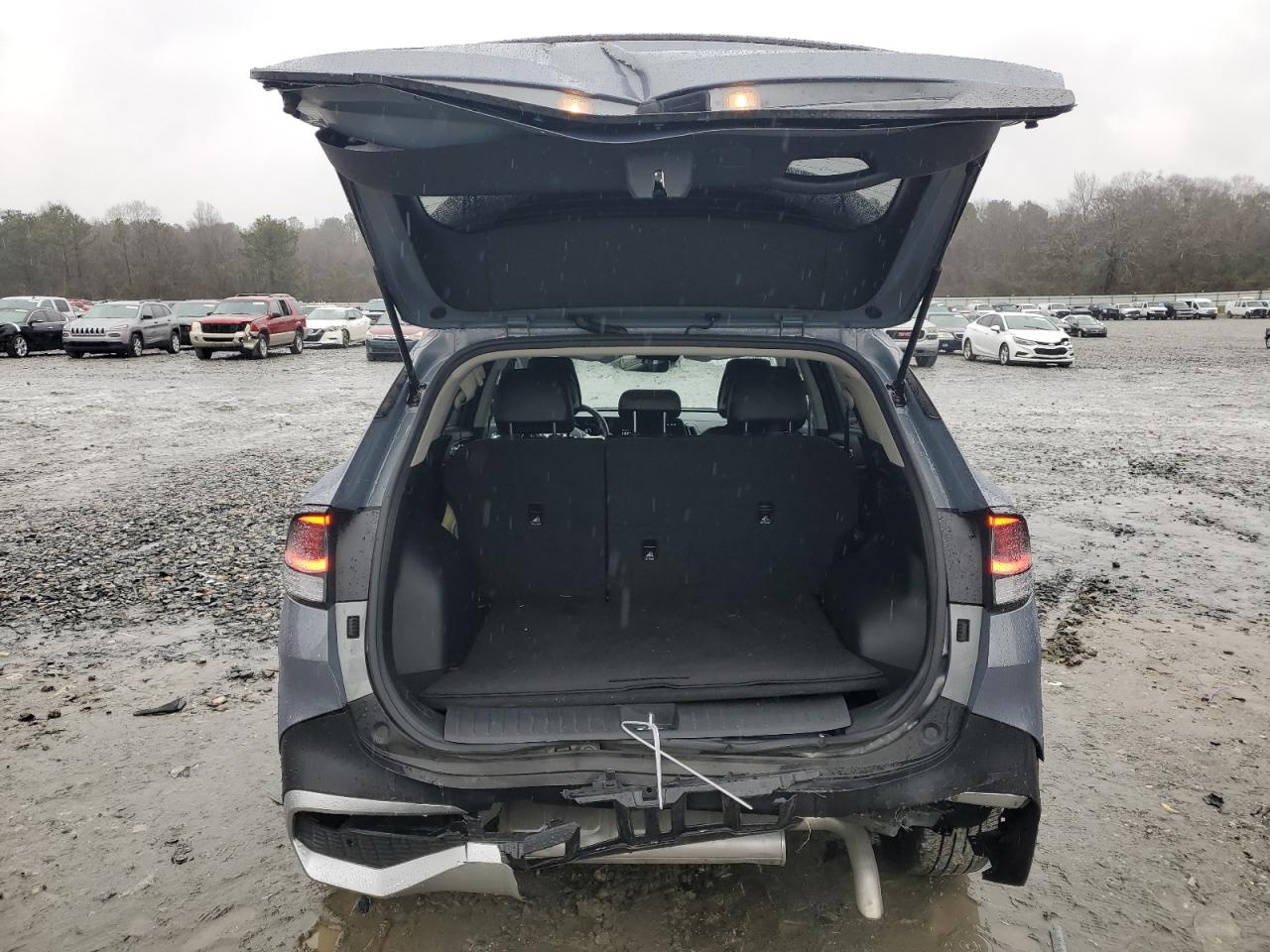 2024 KIA SPORTAGE EX VIN:5XYK33DF3RG205559