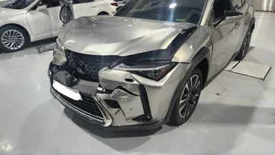 2019 Lexus UX 250 639KMJTHU9JBH1K20 VIN:639KMJTHU9JBH1K20