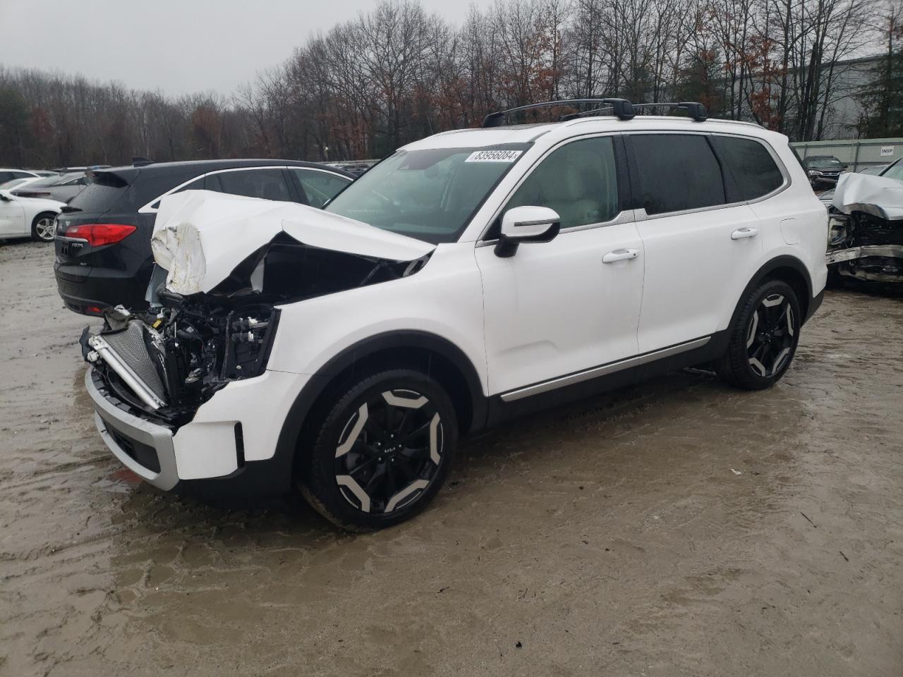 2024 KIA TELLURIDE EX VIN:5XYP34GCXRG487275