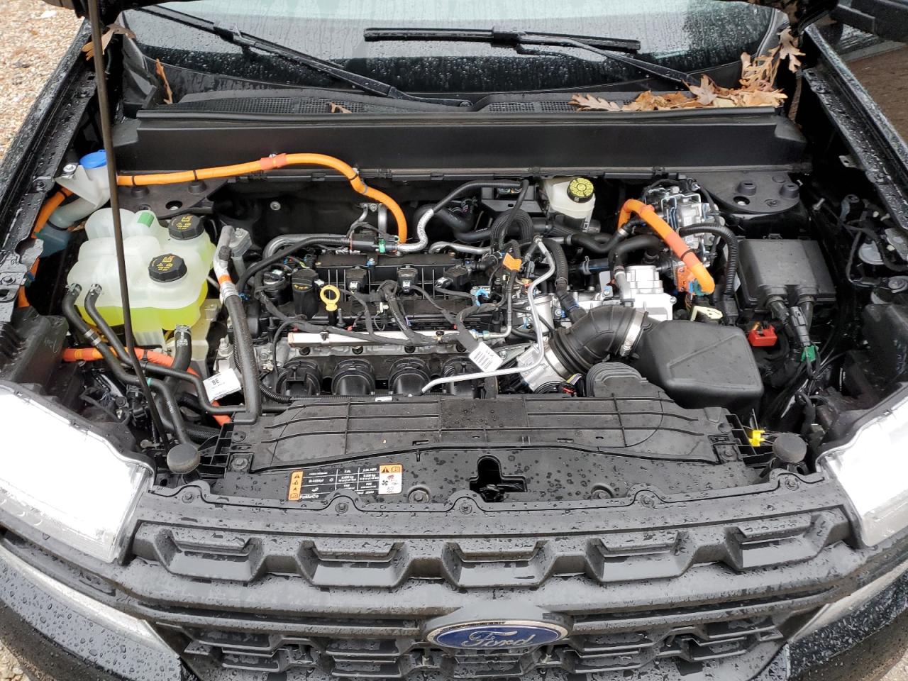 2024 FORD MAVERICK XL VIN:3FTTW8A34RRB11134
