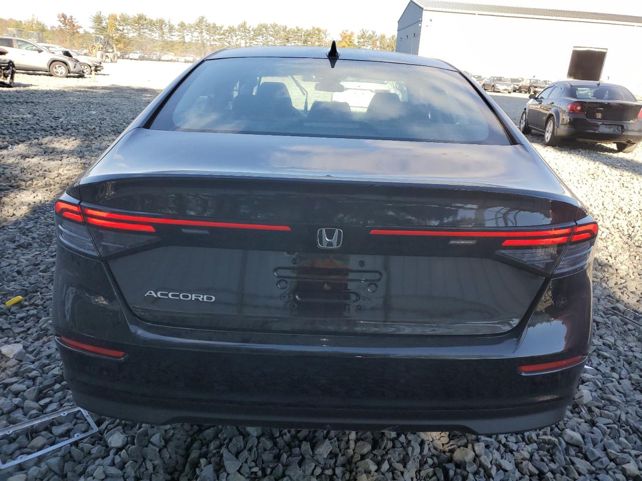 2023 HONDA ACCORD LX VIN:1HGCY1F20PA037706