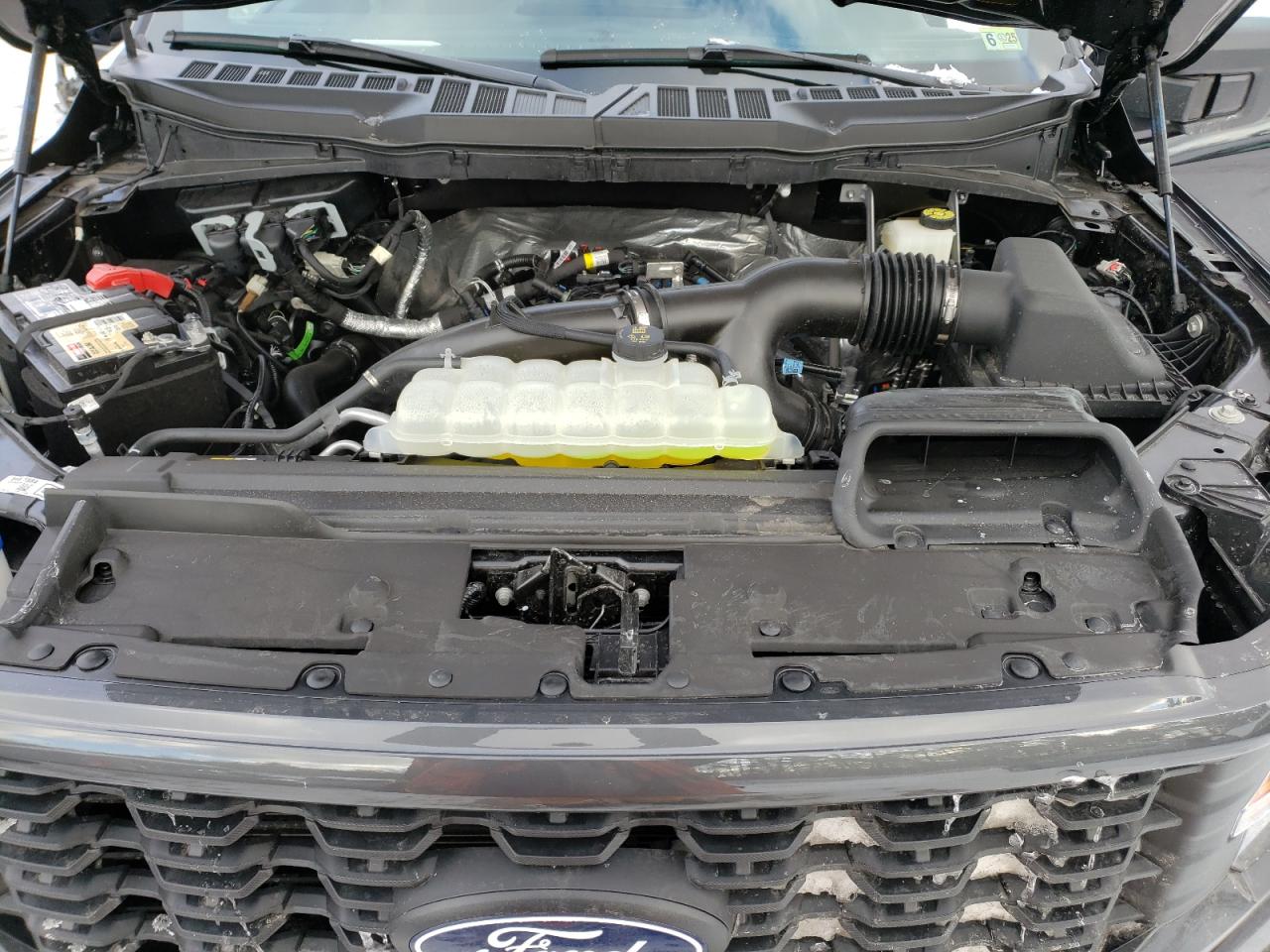 2024 FORD F150 STX VIN:1FTEW2LP9RKD96519