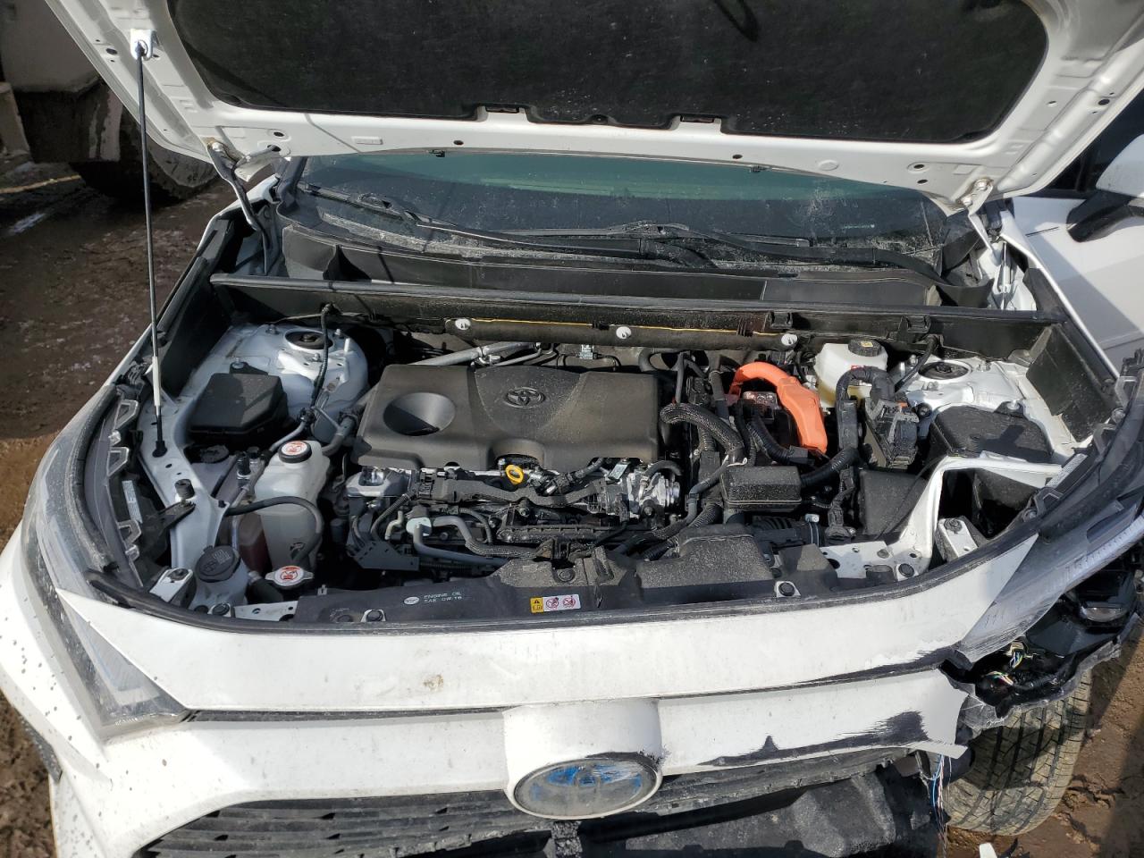 2023 TOYOTA RAV4 XLE VIN:JTMRWRFV4PD184228